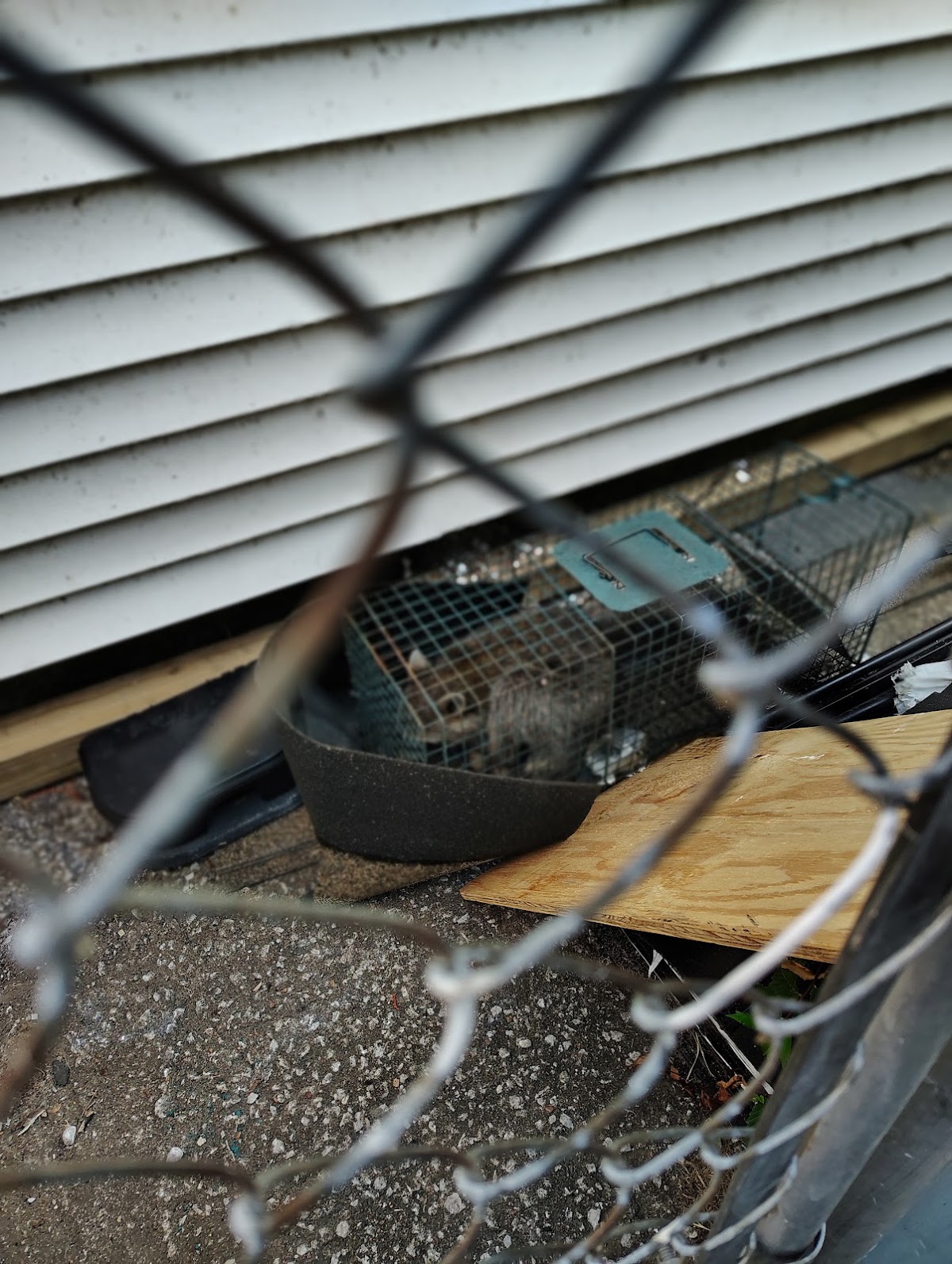 Wildlife trap set at a home during a service call