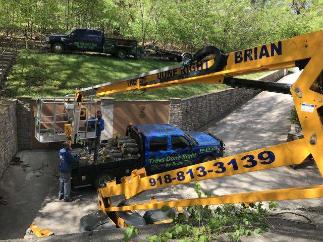 Trees Done Right by Brian crew and bucket lift on a tree job